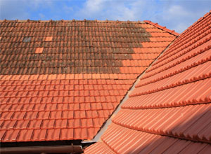 SR rénovation à Châteauroux : expert en nettoyage toiture dans le 36